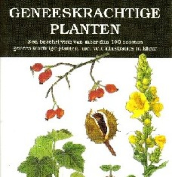 Geneeskrachtige planten *k