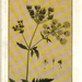 Spectrum kruidenboek van kroonplanten & lipbloemen