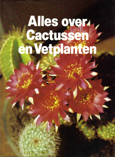 cactussen, vetplanten