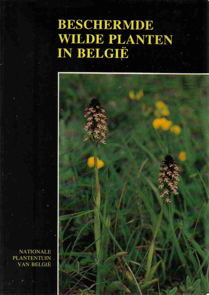 Beschermde wilde planten in Belgi
