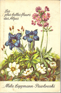 fleurs des Alpes,  Les plus belles