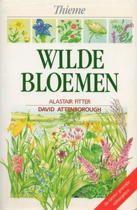Wilde bloemen*
