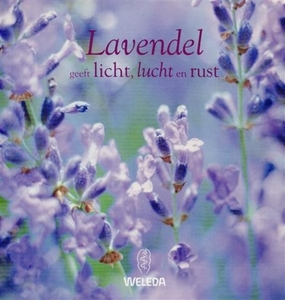 Lavendel geeft licht, lucht en rust