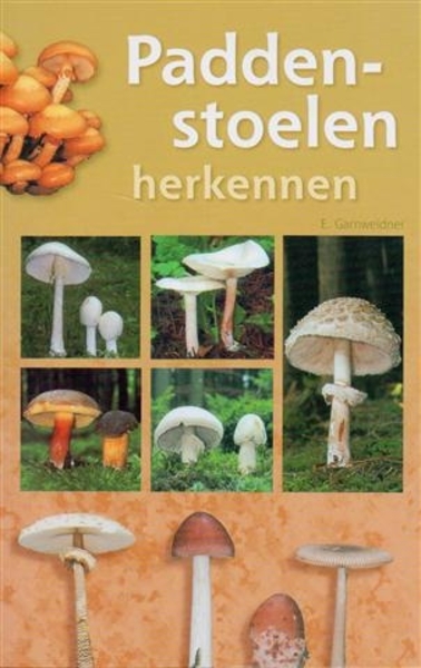 paddenstoelen