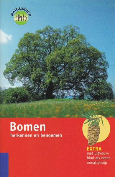 Bomen herkennen en benoemen