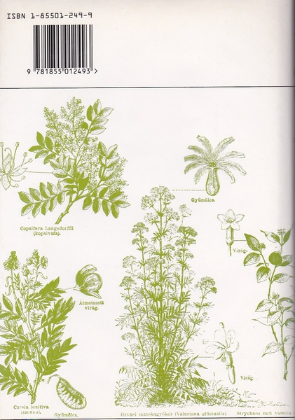 modern herbal, A (v)