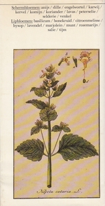 Spectrum kruidenboek van kroonplanten & lipbloemen (v)