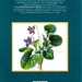 Grote wildebloemen-encyclopedie (v)