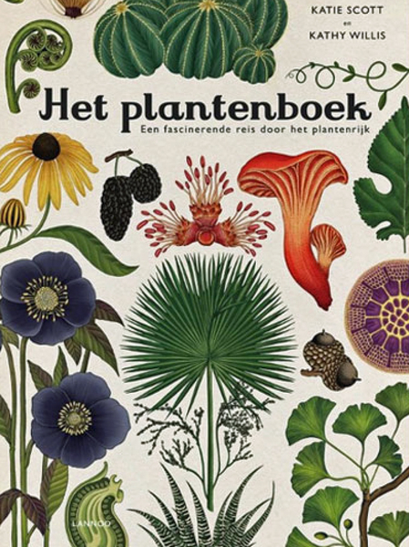 botanica, plantkunde