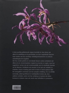 Orchideen, sublieme verleiders (v)