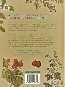 medicinale planten - botanisch handboek (v)