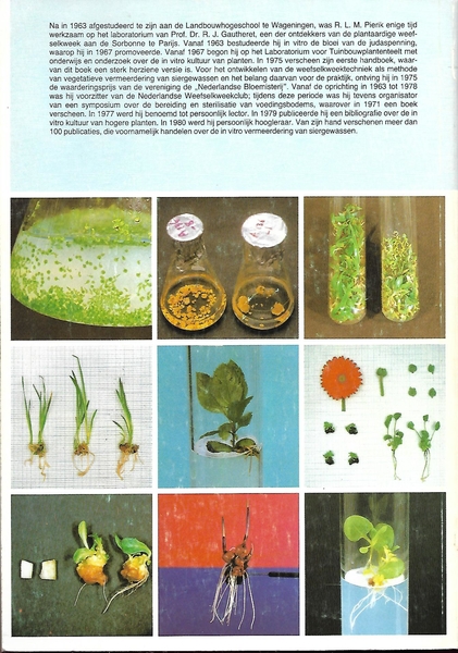 plantenteelt in kweekbuizen  (v)