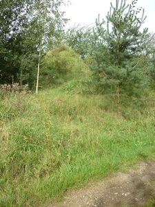 P1200038