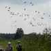 DSCN0750 Meissendorfer Teiche Vlucht Grauwe gans opgejaagd door Z