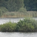 DSCN0760 Meissendorfer Teiche
