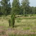 DSCN0844 Bergen-Belsen