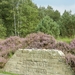 DSCN0846 Bergen-Belsen