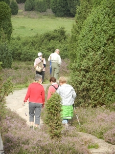 DSCN0884 Wacholderheide