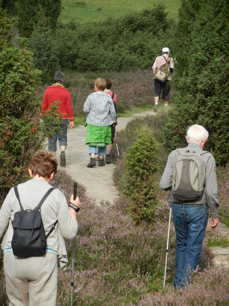 DSCN0886 Wacholderheide