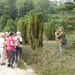 DSCN0893 Wacholderheide