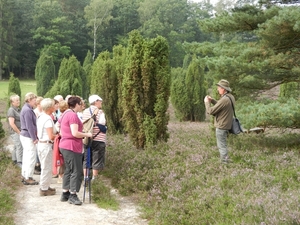 DSCN0893 Wacholderheide