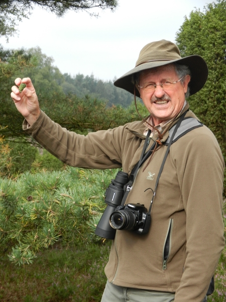 DSCN0895 Wacholderheide