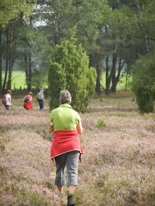 DSCN0907 Wacholderheide