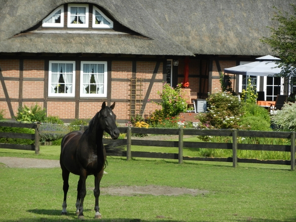 DSCN1165 Wandeling omgeving Landwirtschaftsmuseum