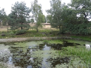 DSCN1527 Niederhavenbeck Wilsederberg