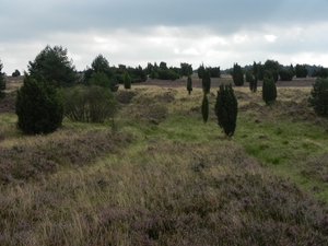 DSCN1536 Niederhavenbeck Wilsederberg