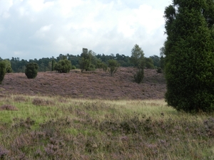 DSCN1600 Niederhavenbeck Wilsederberg