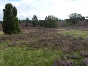 DSCN1604 Niederhavenbeck Wilsederberg
