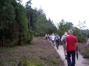 Luneburgerheide 24-8 tot en met 28-8-2011 017