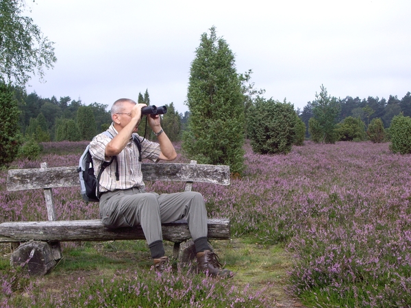 Luneburgerheide 24-8 tot en met 28-8-2011 025