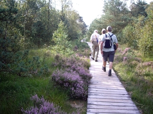 Luneburgerheide 24-8 tot en met 28-8-2011 055