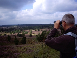 Luneburgerheide 24-8 tot en met 28-8-2011 107