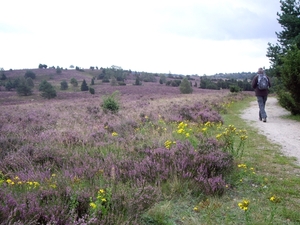 Luneburgerheide 24-8 tot en met 28-8-2011 109