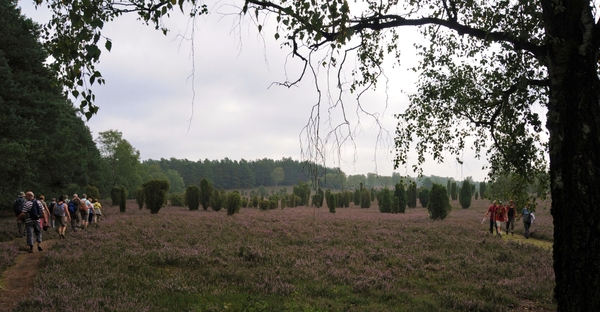 DSC_6441
