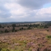 Panorama04