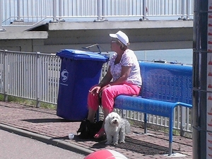 VAKANTIE