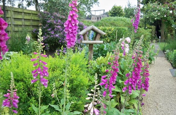 Bloemen