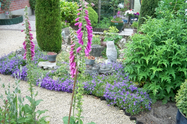 Bloemen