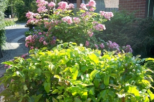 Juni 2011