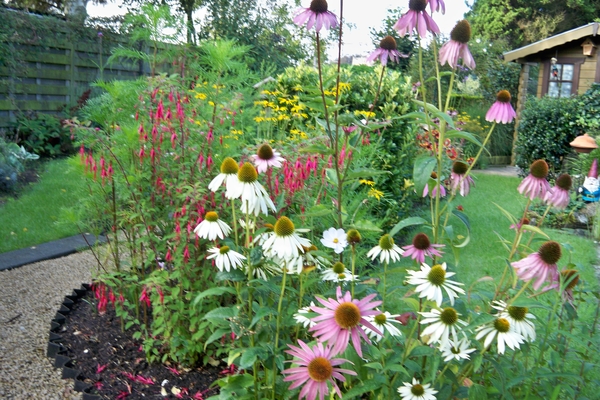 Bloemen