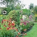 Zomerborder