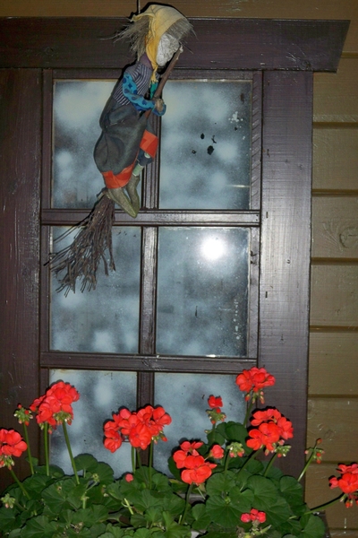 Bloemen