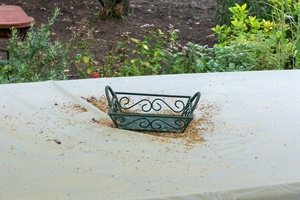 Herfst in de tuin 2011