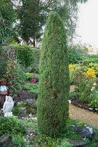 September 2011