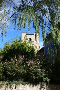 fietsvakantie Provence 028