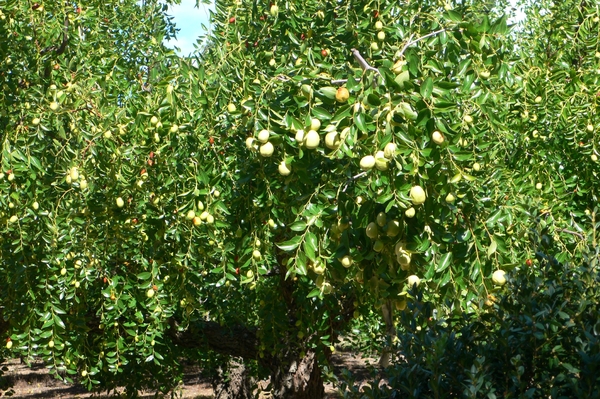 fietsvakantie Provence 030